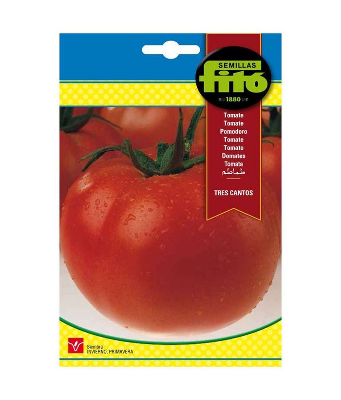 Tomate tres cantos